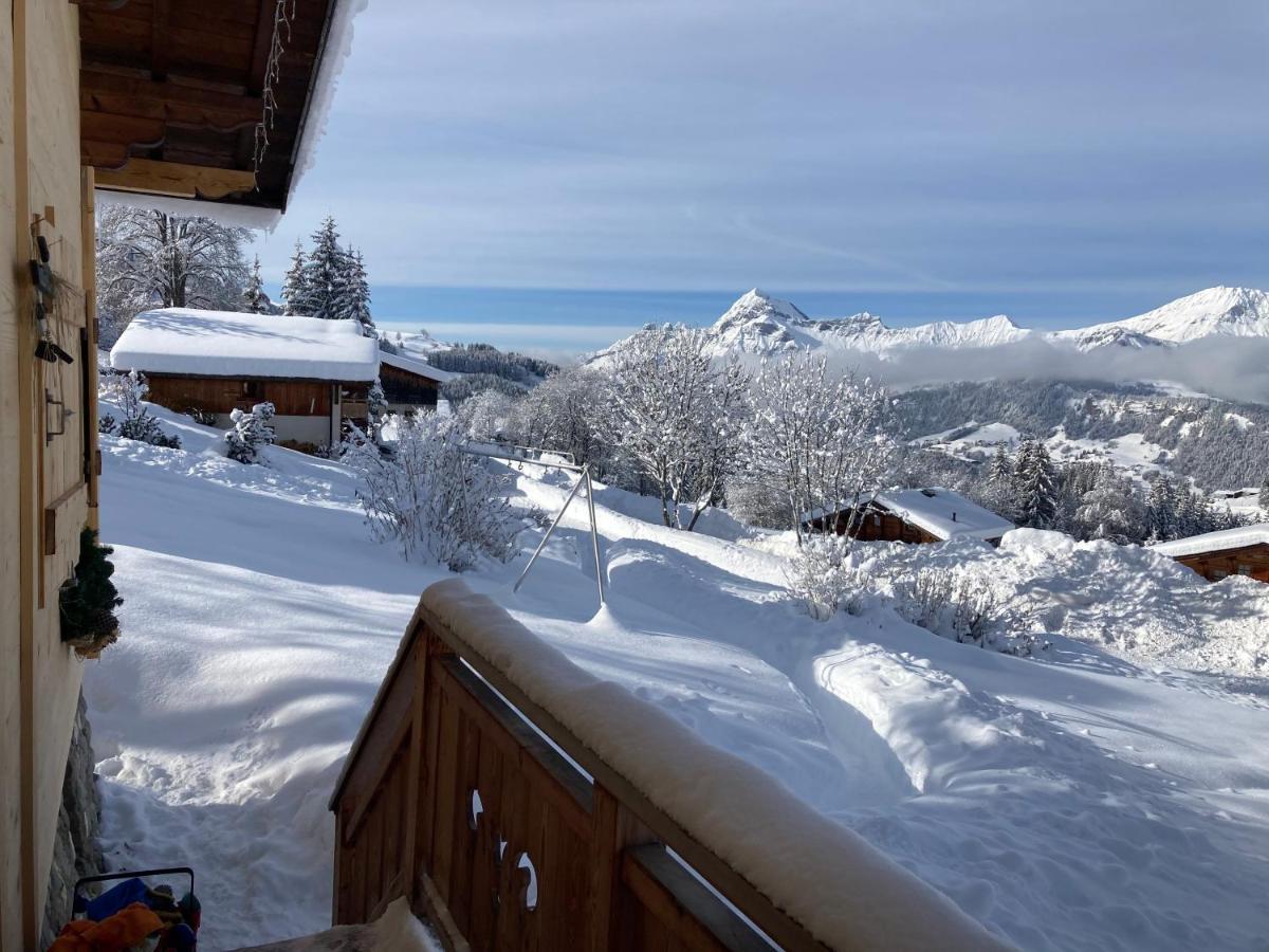 Chalets Savoie Les Chalets D'Heidi Notre-Dame-de-Bellecombe Exterior foto
