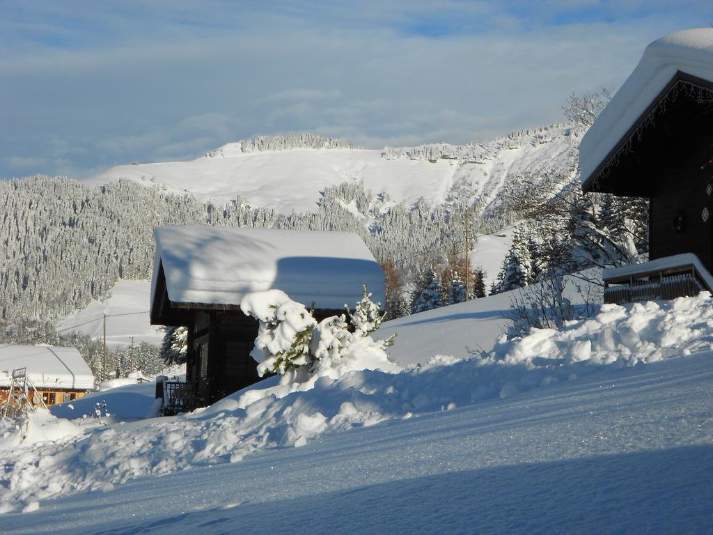Chalets Savoie Les Chalets D'Heidi Notre-Dame-de-Bellecombe Exterior foto